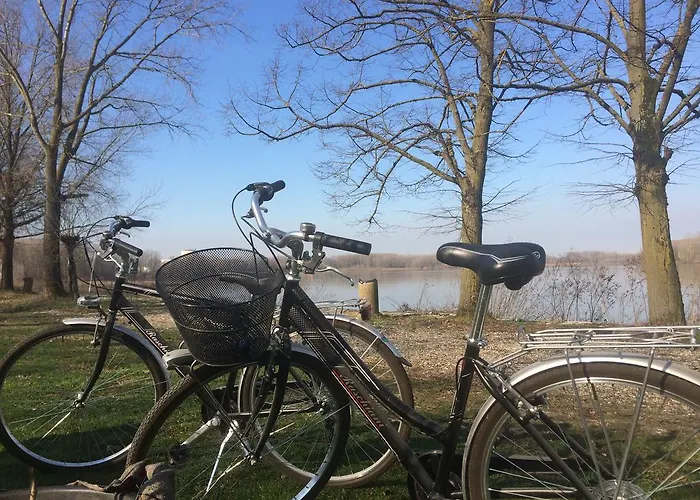 Feriegård La Finestra Sul Po - *