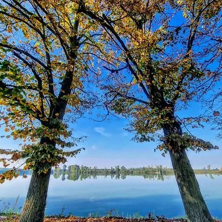 בית חווה La Finestra Sul Po - *