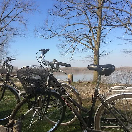 בית חווה La Finestra Sul Po - *