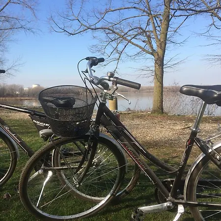 בית חווה La Finestra Sul Po - *